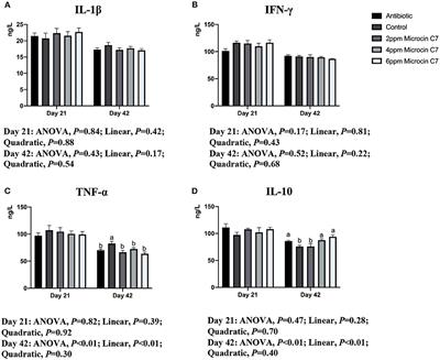 Effects of Antimicrobial Peptide Microcin C7 on Growth Performance, Immune and Intestinal Barrier Functions, and Cecal Microbiota of Broilers